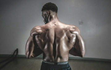 muscle recovery therapy