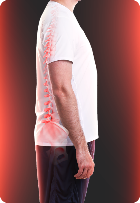 Side view of a person with illustrated spine and hip highlights showing areas of pain relief or joint support.
